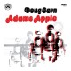DOUG CARN-ADAM'S APPLE -INSERT- (LP)