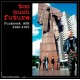 V/A-TOO MUCH.. -BOX SET- (2CD)