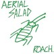 AERIAL SALAD-ROACH (CD)