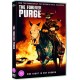 FILME-FOREVER PURGE (DVD)