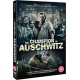 FILME-CHAMPION OF AUSCHWITZ (DVD)