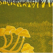 RURAL TAPES-RURAL TAPES (12")