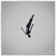 STUNDOM-MA JEG HOLDE DIN HAND (CD)