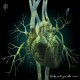 MARTIN RUBASHOV-MEMBERS OF THE GREEN FLOX (LP)