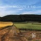 LIUZZI / FUMAROLA / PUNTI-FUMAROLA: RACCOLTO A SUD (CD)
