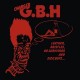 G.B.H.-LEATHER, BRISTLES, NO.. (LP)