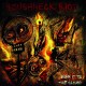 ROUGHNECK RIOT-BURN IT TO.. -COLOURED- (LP)