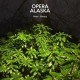 OPERA ALASKA-STAYING/HOPE -COLOURED- (7")