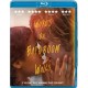 FILME-WORDS ON BATHROOM WALLS (BLU-RAY)