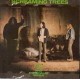 SCREAMING TREES-EVEN IF AND ESPECIALLY.. (LP)