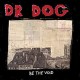 DR. DOG-BE THE VOID -COLOURED- (LP)