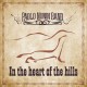 PAOLO NUNIN BAND-IN THE HEART OF THE HILLS (CD)