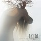 LYCIA-A DAY IN THE STARK CORNER (2LP)