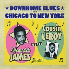 HOMESICK JAMES-MEETS COUSIN LEROY (CD)