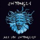 SHPONGLE-ARE YOU SHPONGLED? (3LP)
