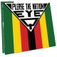 EYE Q-PLEASE THE NATION (2LP)