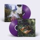 PENELOPE ANTENA-BEAMOROSE -COLOURED- (LP)