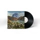 RIVER WHYLESS-MONOFLORA (LP)
