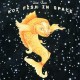 JACK IRONS-KOI FISH IN SPACE (LP)