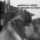 GUIDED BY VOICES-DEVIL BETWEEN MY TOES (LP)