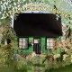 ANXIOUS-LITTLE GREEN HOUSE -COLOURED- (LP)