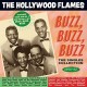 HOLLYWOOD FLAMES-BUZZ BUZZ.. -BOX SET- (3CD)