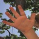 BERNICE-BONJOUR MY FRIEND (LP)