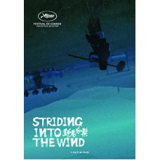 FILME-STRIDING INTO THE WIND (DVD)