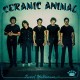 CERAMIC ANIMAL-SWEET UNKNOWN (CD)