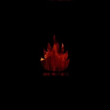 DOLCH-FEUER (LP)