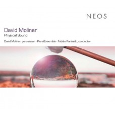 MOLINER/PANISELLO/PLURAL-MOLINER: PHYSICAL SOUND (CD)