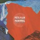 PETE FLUX & PARENTAL-TRAVELING THOUGHT -DELUXE- (2LP)