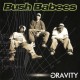 BUSH BABEES-GRAVITY -LTD- (CD)
