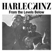 HARLECKINZ-FROM THE LEVELS BELOW (LP)
