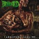 BENIGHTED-CARNIVORE.. -COLOURED- (LP)