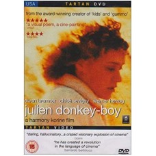 FILME-JULIEN DONKEY BOY (DVD)