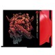 B.S.O. (BANDA SONORA ORIGINAL)-GEARS OF WAR -COLOURED- (2LP)