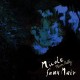 NICOLE FAUX NAIV-MOON RALLY (LP)