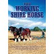 DOCUMENTÁRIO-WORKING SHIRE HORSE (DVD)