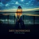 DAVE BAINBRIDGE-TO THE FAR AWAY (CD)