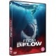 FILME-FROM BELOW (DVD)