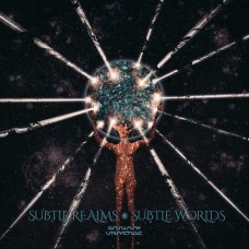 SHADOW UNIVERSE-SUBTLE REALMS, SUBTLE.. (LP)