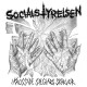SOCIALSTYRELSEN-I KROSSADE SPEGLARS SKARVOR (LP)