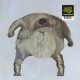LAZY QUEEN-A HUMAN REACTION (LP)