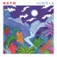 RAYO-JUNGLA (CD)