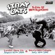 STRAY CATS-LIVE AT ROCKPALAST -COLOURED- (3LP)
