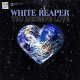 WHITE REAPER-YOU DESERVE LOVE (LP)