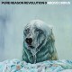 PURE REASON REVOLUTION-ABOVE CIRRUS (2LP)