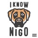 NIGO-I KNOW NIGO (ALTC) (CD)