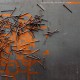 SIGILLUM S-COALESCENCE OF TIME: OTHER CONJECTURES ON FUTURE (LP)